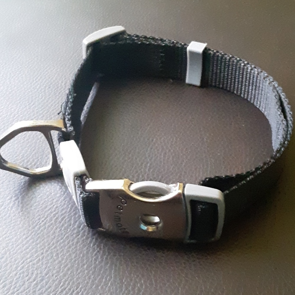 A NWOT dog collar...